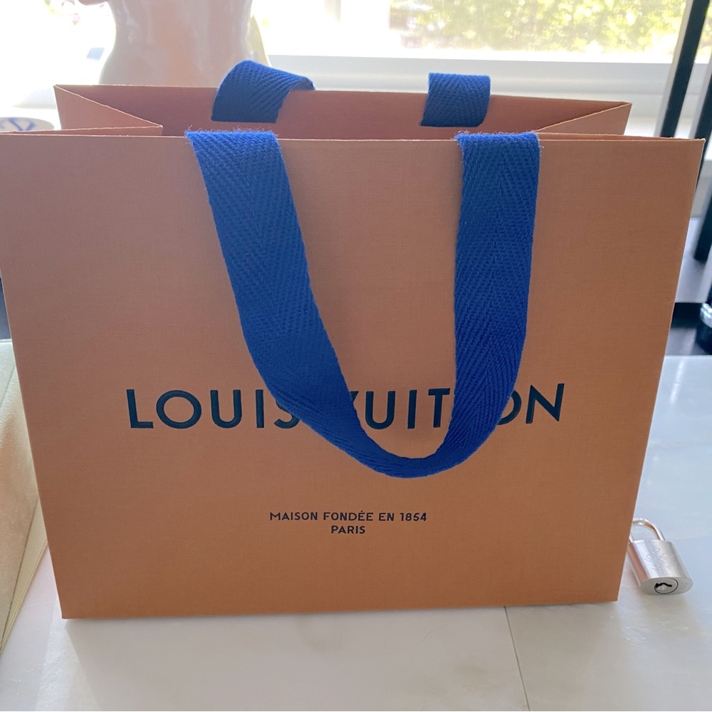 Small Louis Vuitton Bag